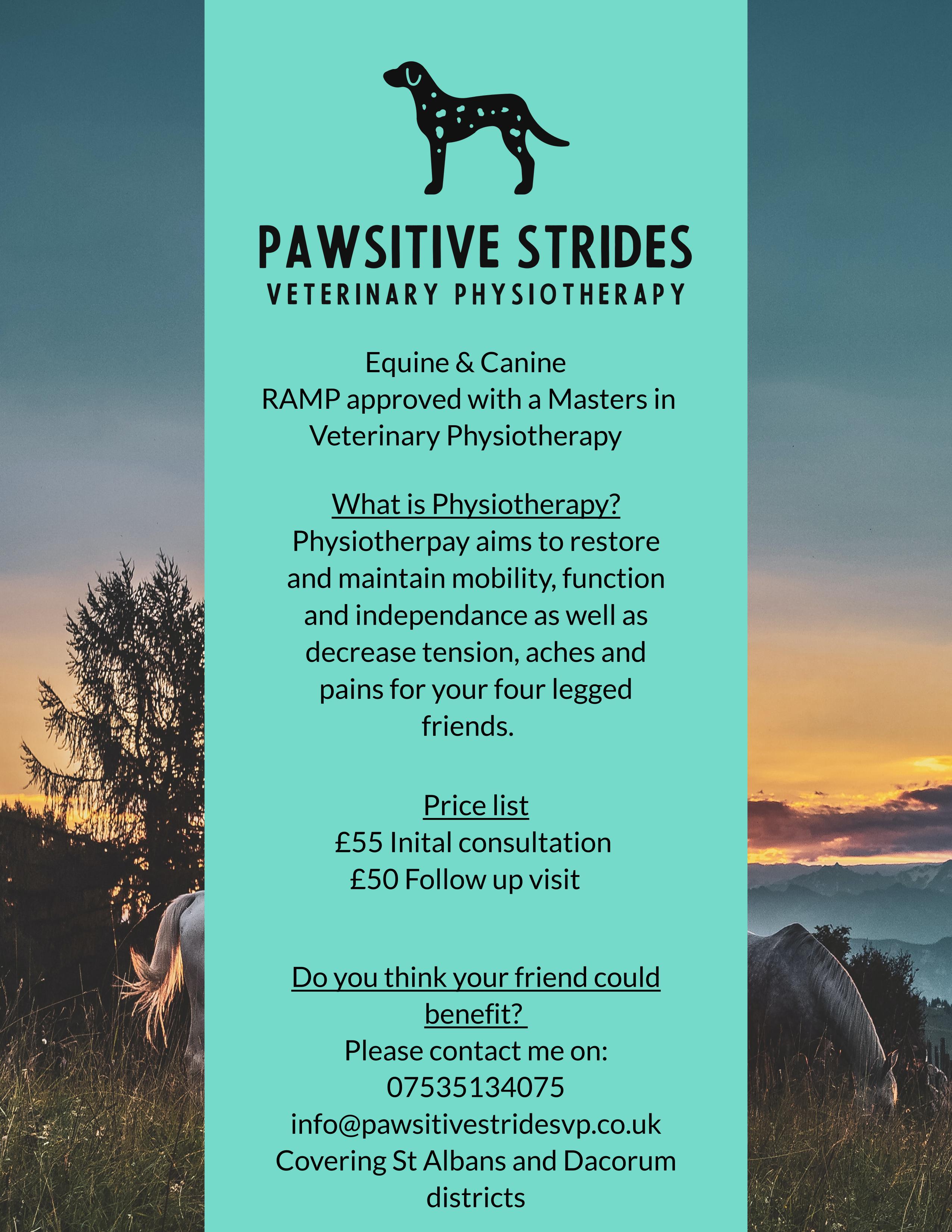 Pawsitive Strides Advert