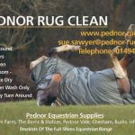 Pednor Rugs