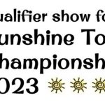 Sunshine Tour Logo 4