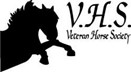 VHS Logo