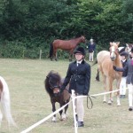 Young Handler Class