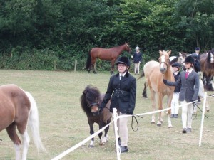 Young Handler Class