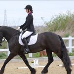 dressage may newsletter