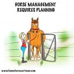 horsemanagement